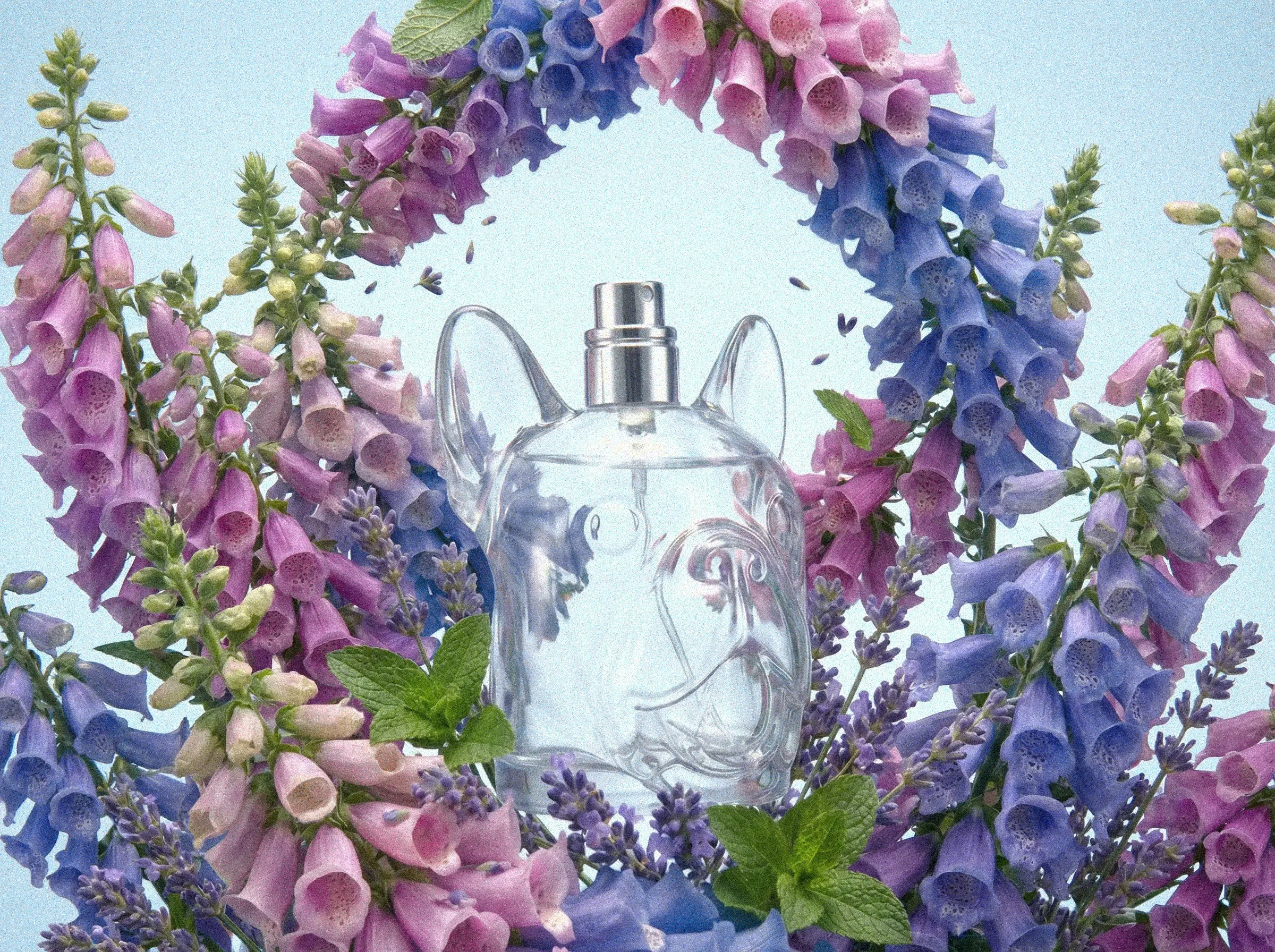 EAU DE BOULON render